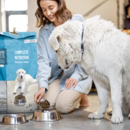 Alimento para perros