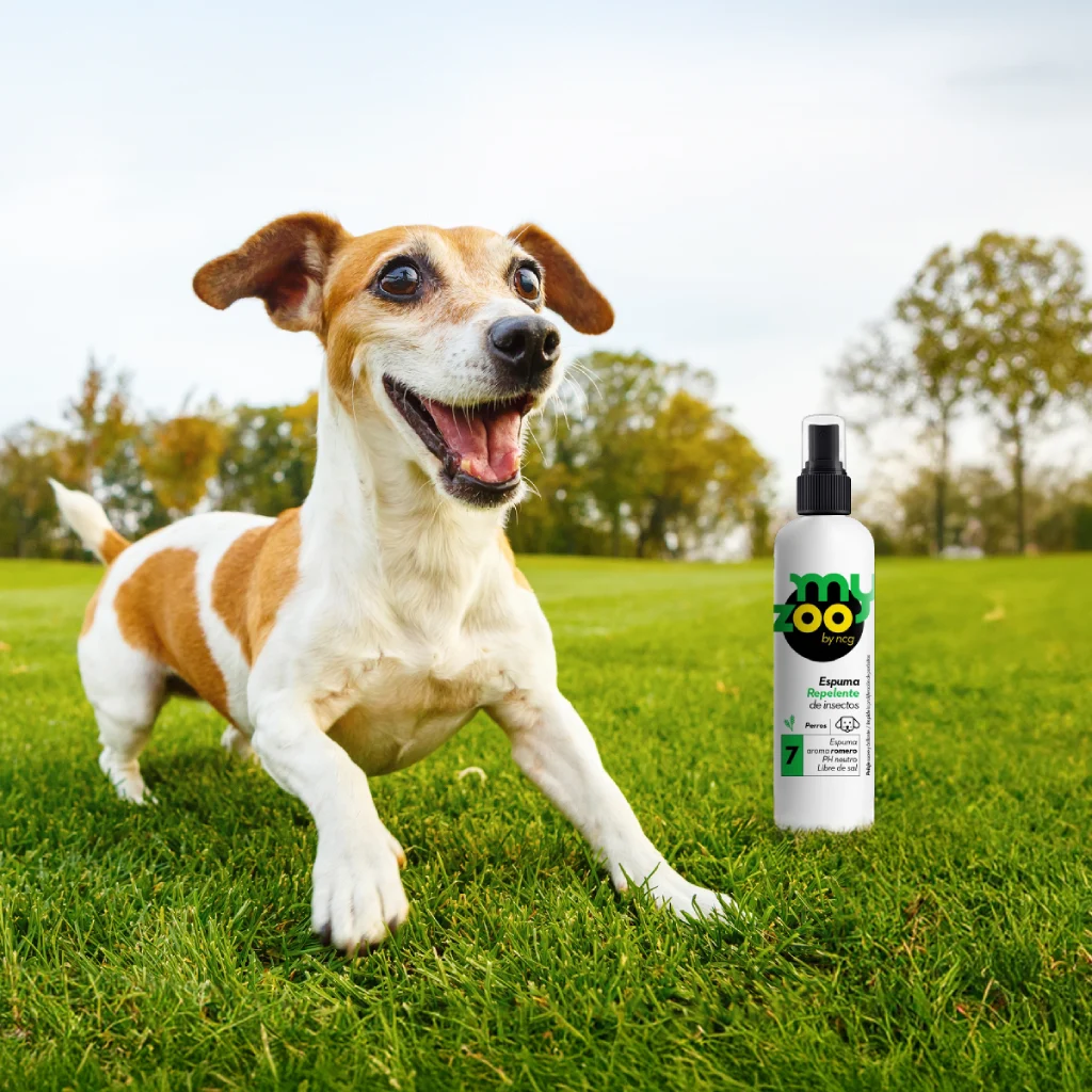 Espuma repelente MyZoo para perros 250 cc con aceite de romero